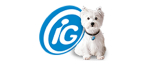 iG Logo