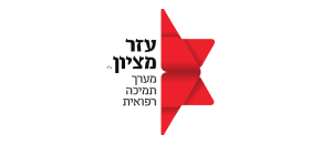 Ezer Mizion & Digital Vibe Logo