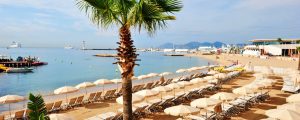 cannes-brand-safety-header-scaled