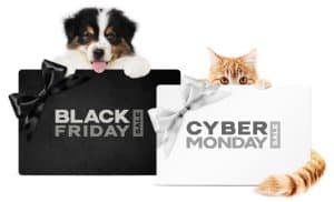 cyber 5 ad copy realize data report